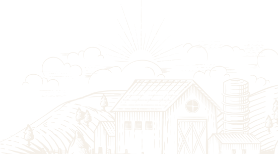 provide-one-shape-1 provide-one-shape-1