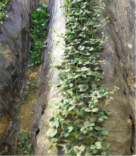 微信截图_20250410130915