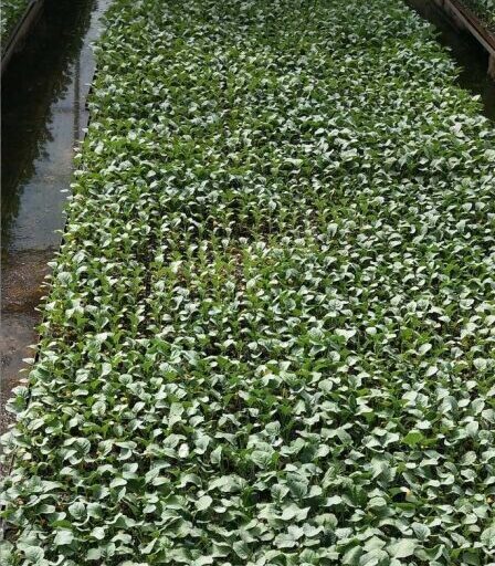 微信截图_20250410130940