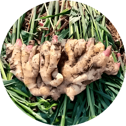 截图20251017025252 截图20251017025252